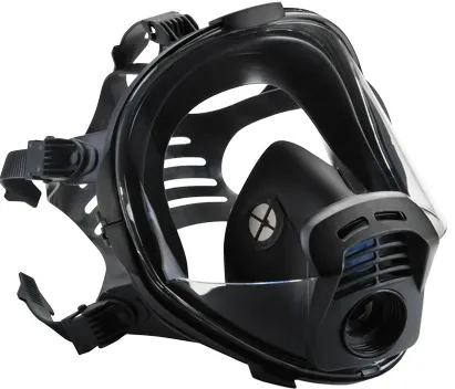 [106-000366] RSG 400701 RSG 700 Series PANAREA Full face mask
